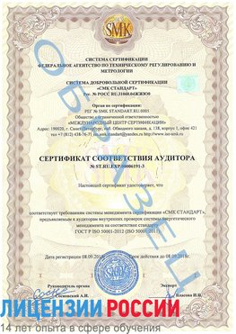 Образец сертификата соответствия аудитора №ST.RU.EXP.00006191-3 Поронайск Сертификат ISO 50001